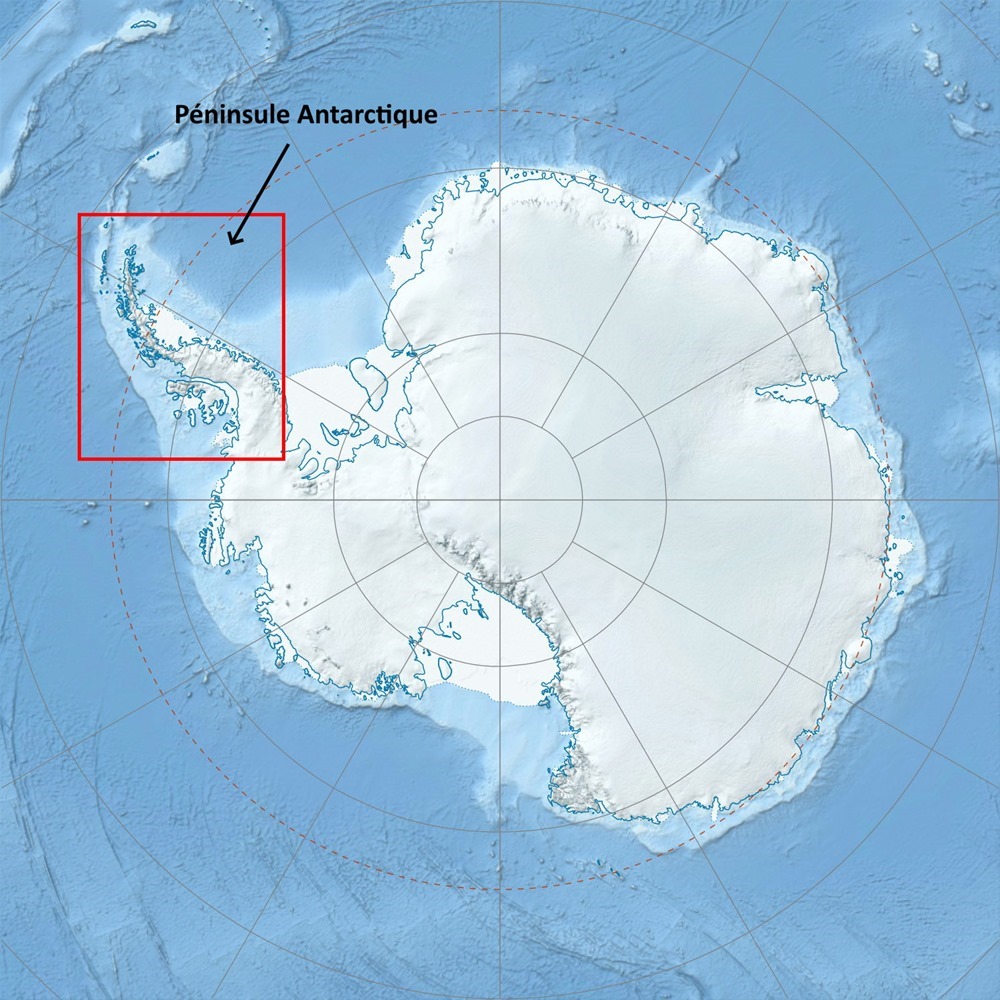Antarctica_relief_location_map
