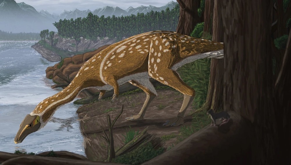 Eric Elaphrosaur 1 20