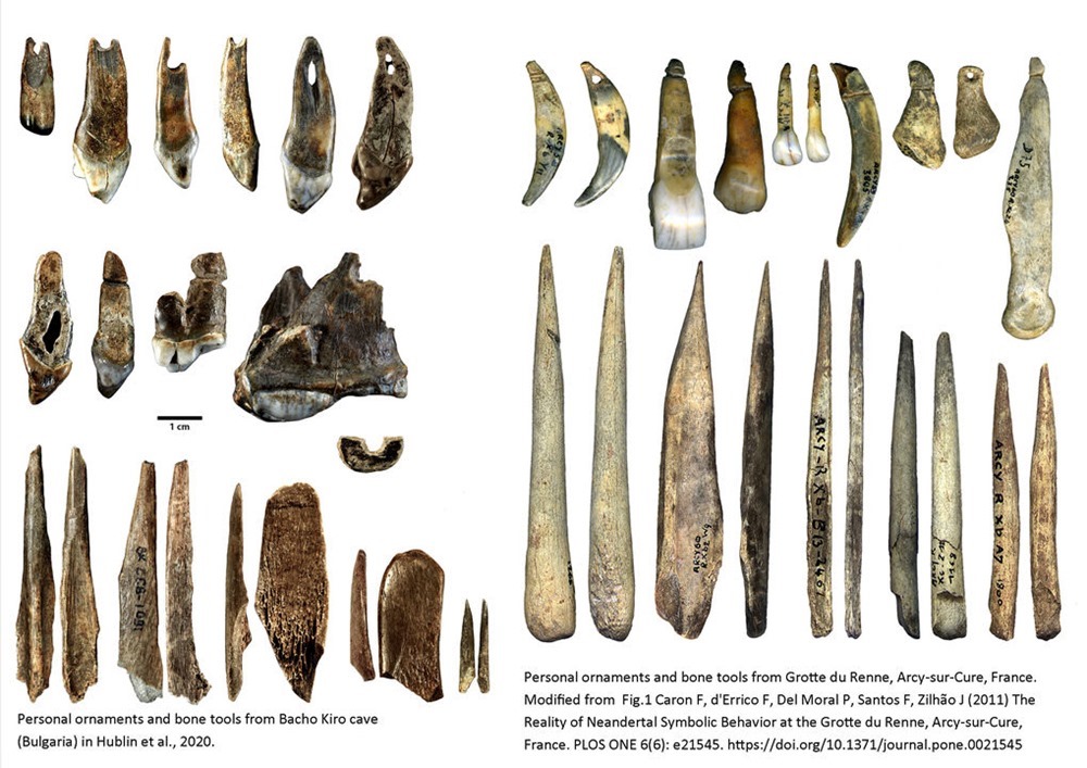 Neanderthal Bacho Kiro 2 20