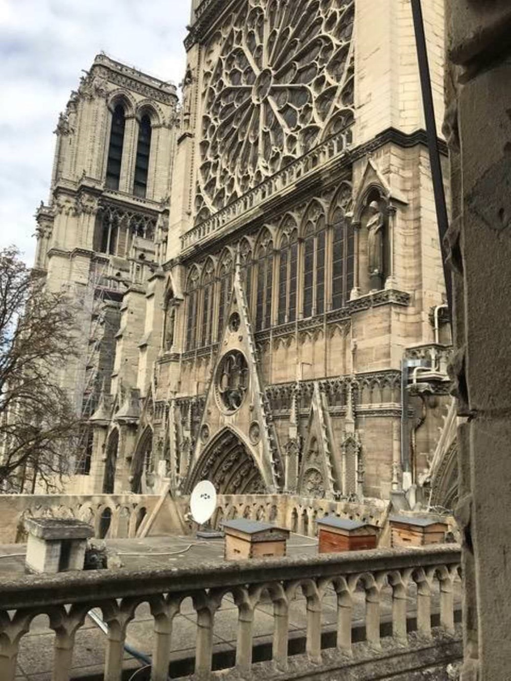 Notre Dame Miel 2 20