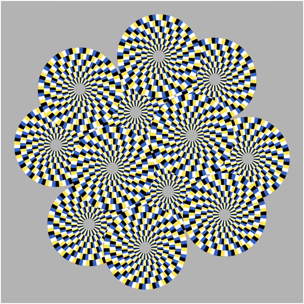 Mouche illusion optique 1 20