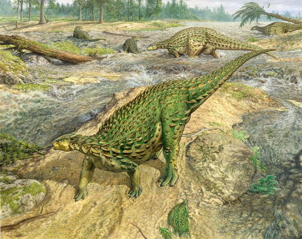 Scelidosaurus 1 20