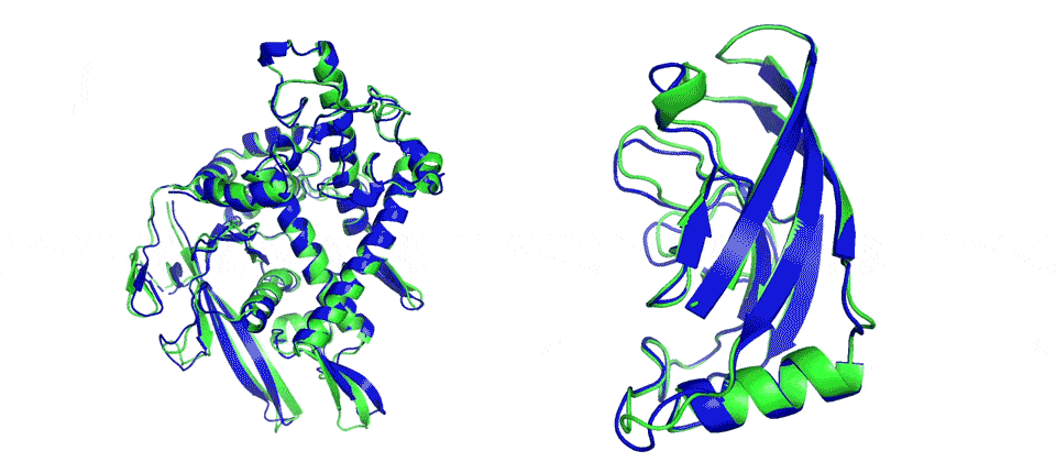 DeepMind Alphabet Repliement protéines 6 20