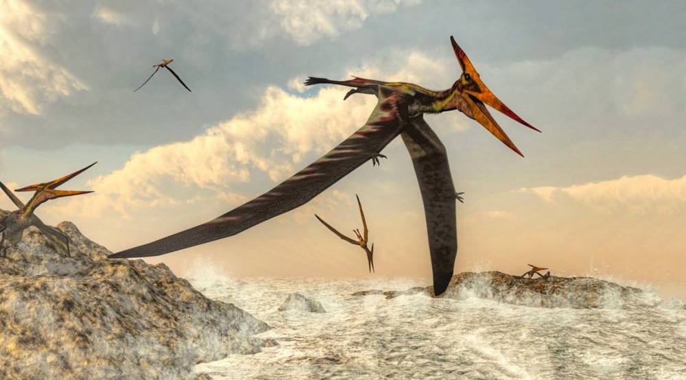 Pterosaure 1 20