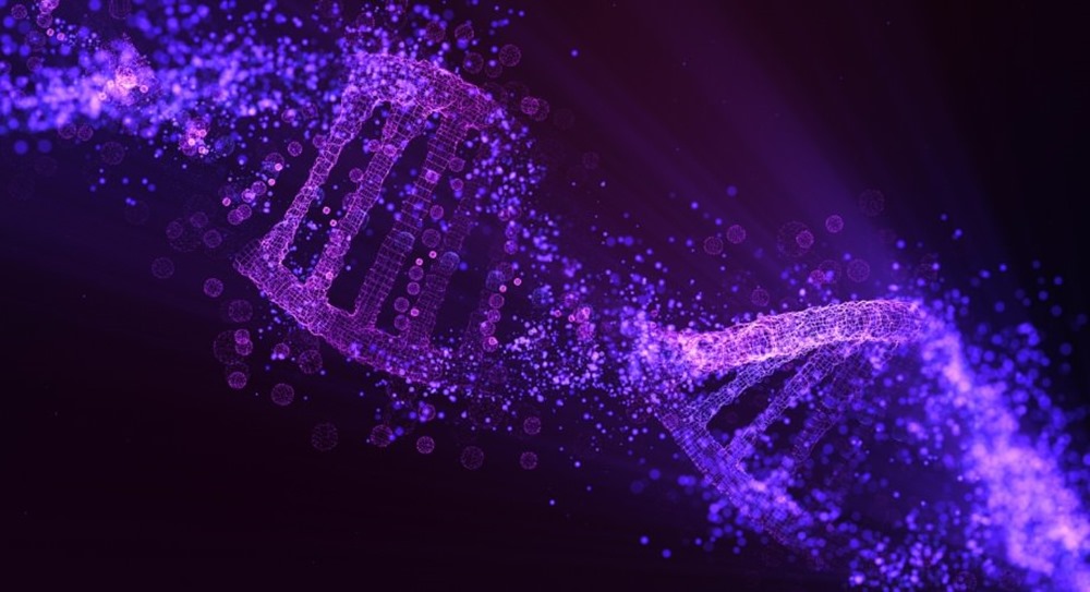 ADN ARN Enzyme évolution 1 20
