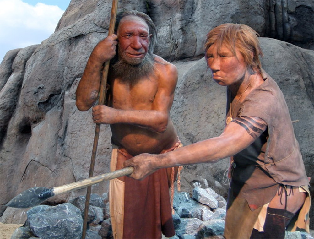 perfusion Neanderthal 2 21
