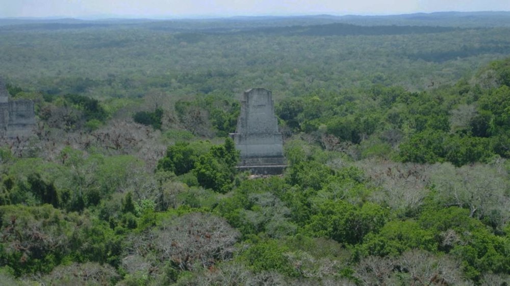 Tikal Temple-IV 1 21