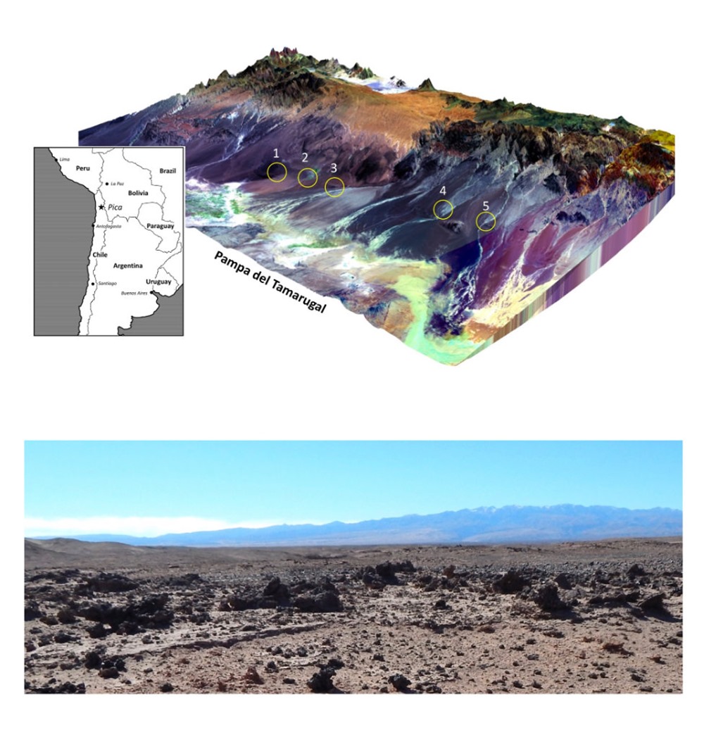 Verre désert Atacama 2 21