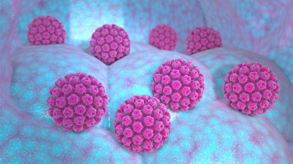 cancer du col utérin HPV 1 21