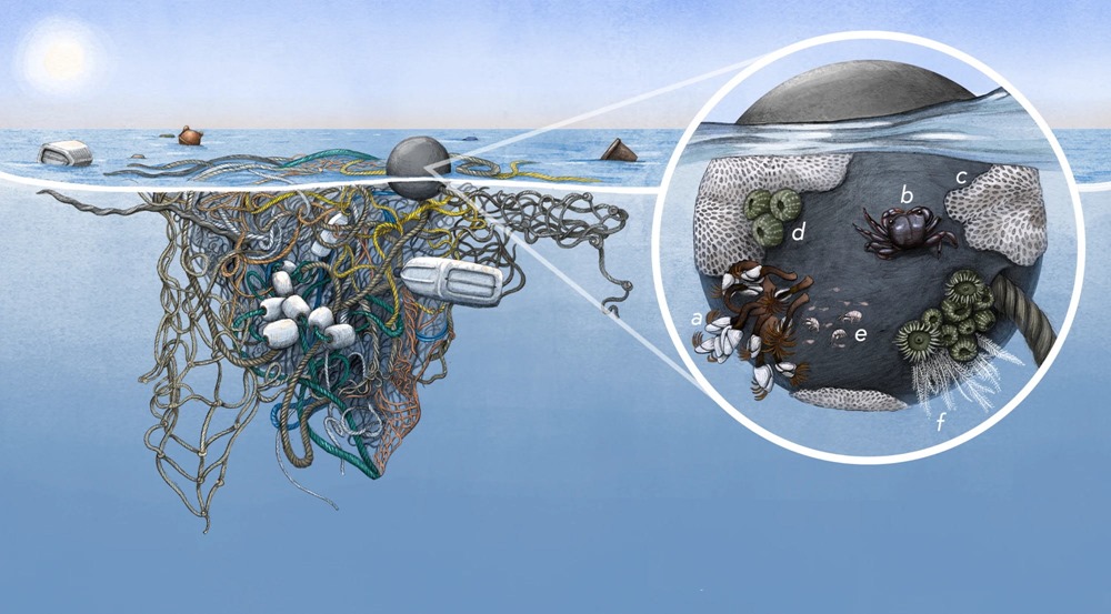 Ecosystème déchet plastique océan 1 21