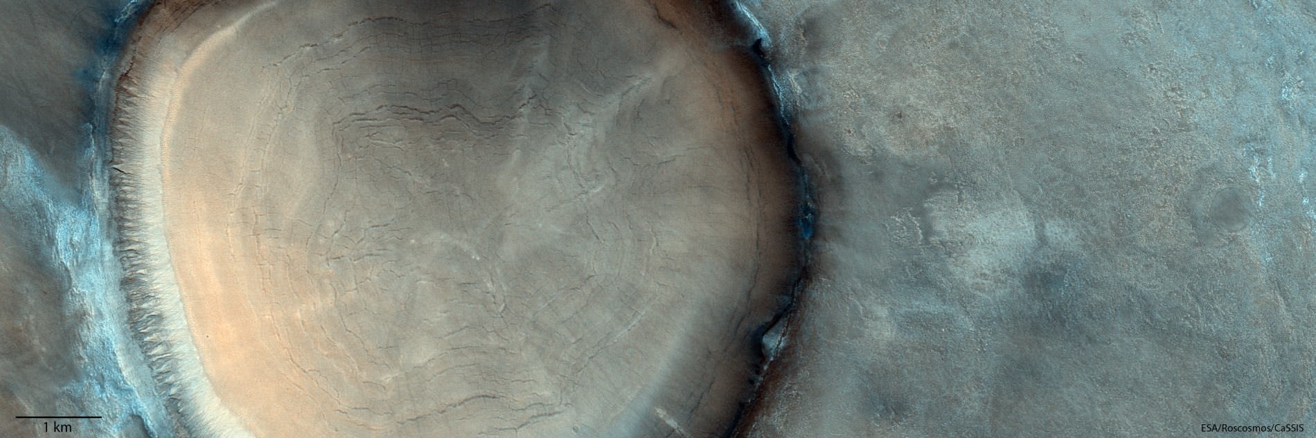 Crater_tree_ring 1 22