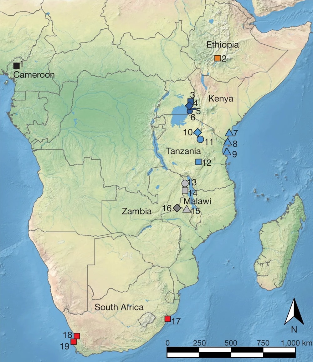 ADN chasseurs-cueilleurs africains 5 22