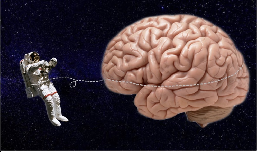 Cerveau astronaute 1 22