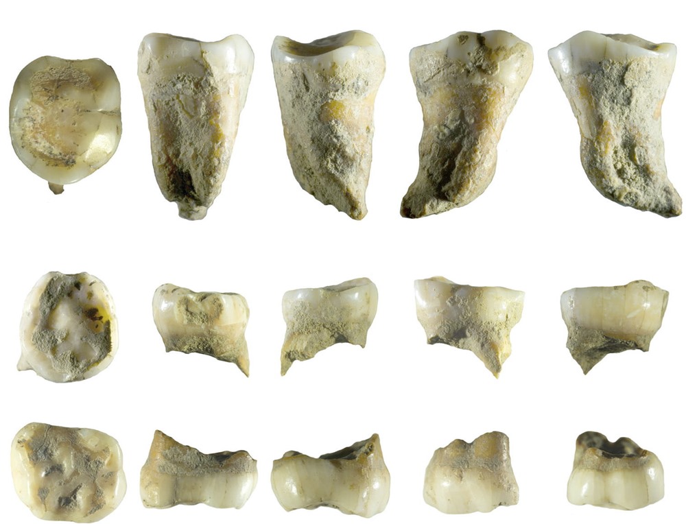 Neanderthalien Homo Sapiens Europe Rhone 2 22