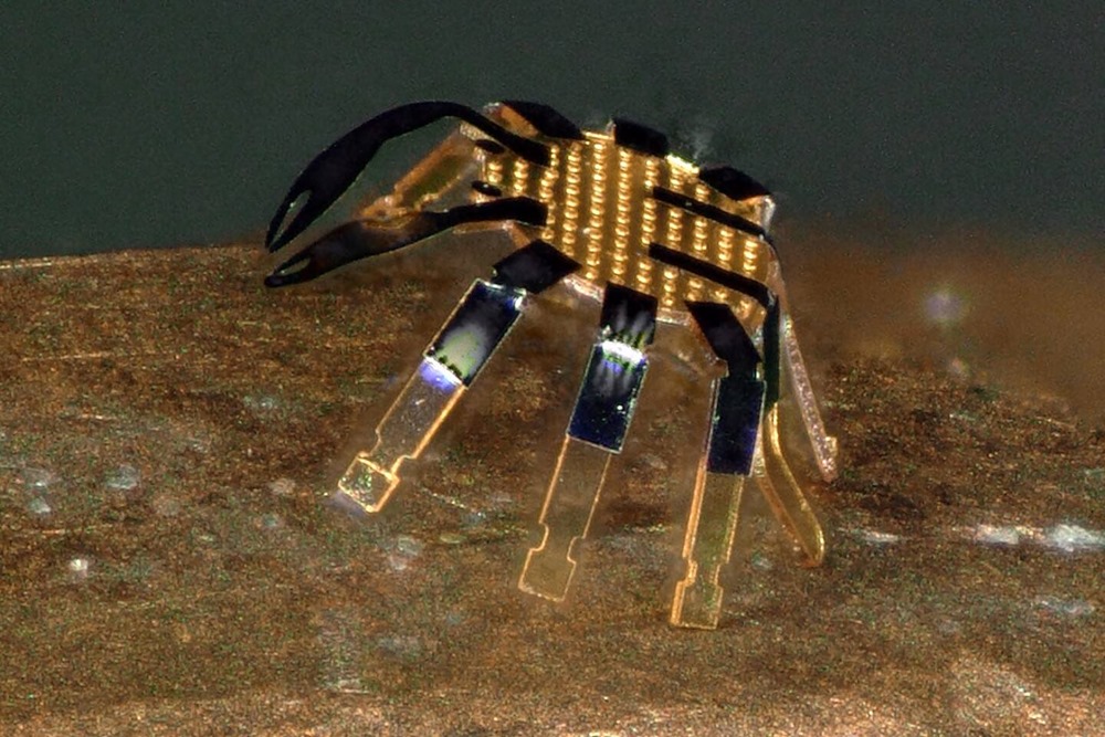 Petit robot crabe 4 22