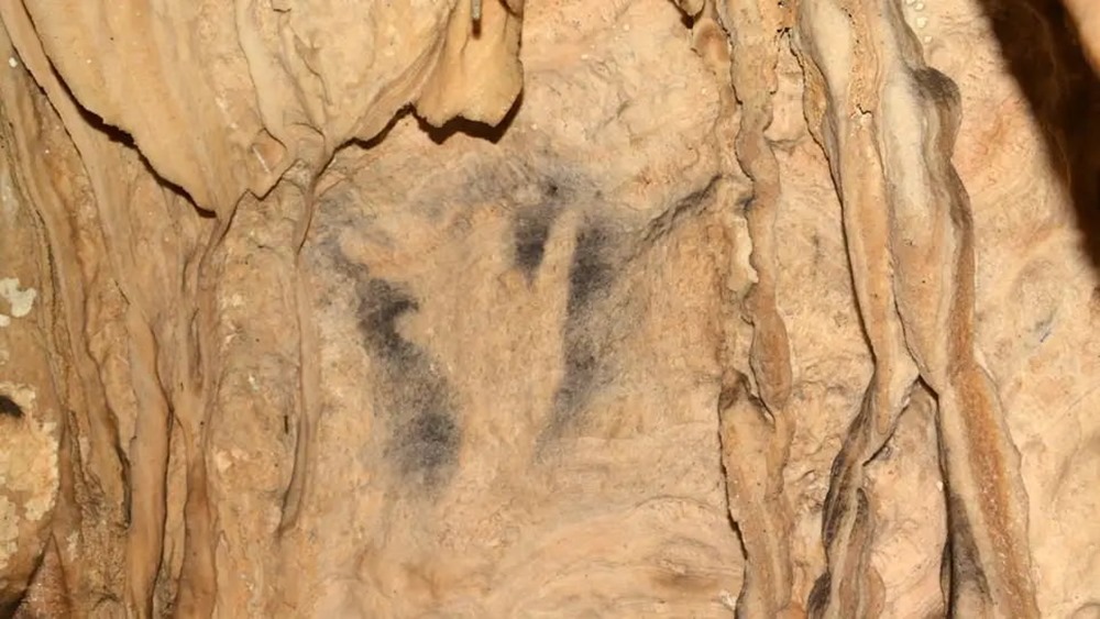 Art pariet Cueva de Ardales 4 22