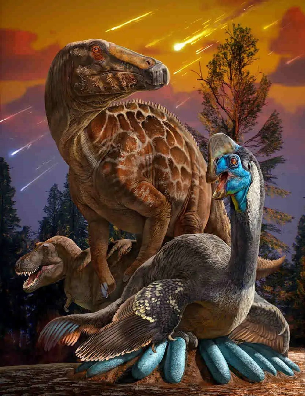 œufs fossiles extinction dinosaure 1 22