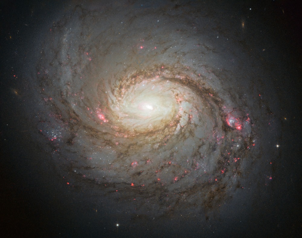 Galaxie NGC1068 1 22