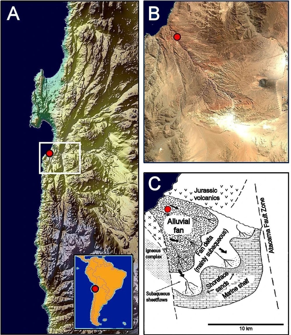 Désert Atacama analyse échantillons organique 1 23