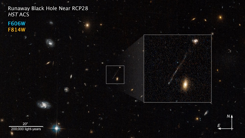 Hubble Photographs Stellar Trail of Runaway Black Hole
