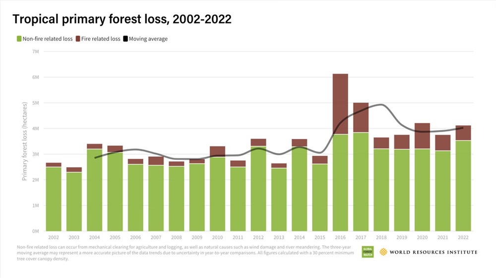Deforestation Global Forest Watch 1 23