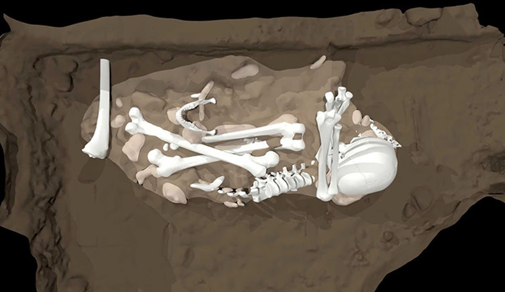 Figure 3: Artist’s reconstruction of the burial of an adult Homo naledi found in Feature 1 from the Dinaledi Chamber. Images from Berger et al., 2023.