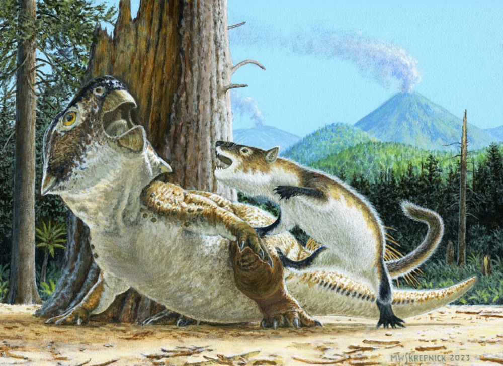 Psittacosaurus Vs Repenomamus 2 23
