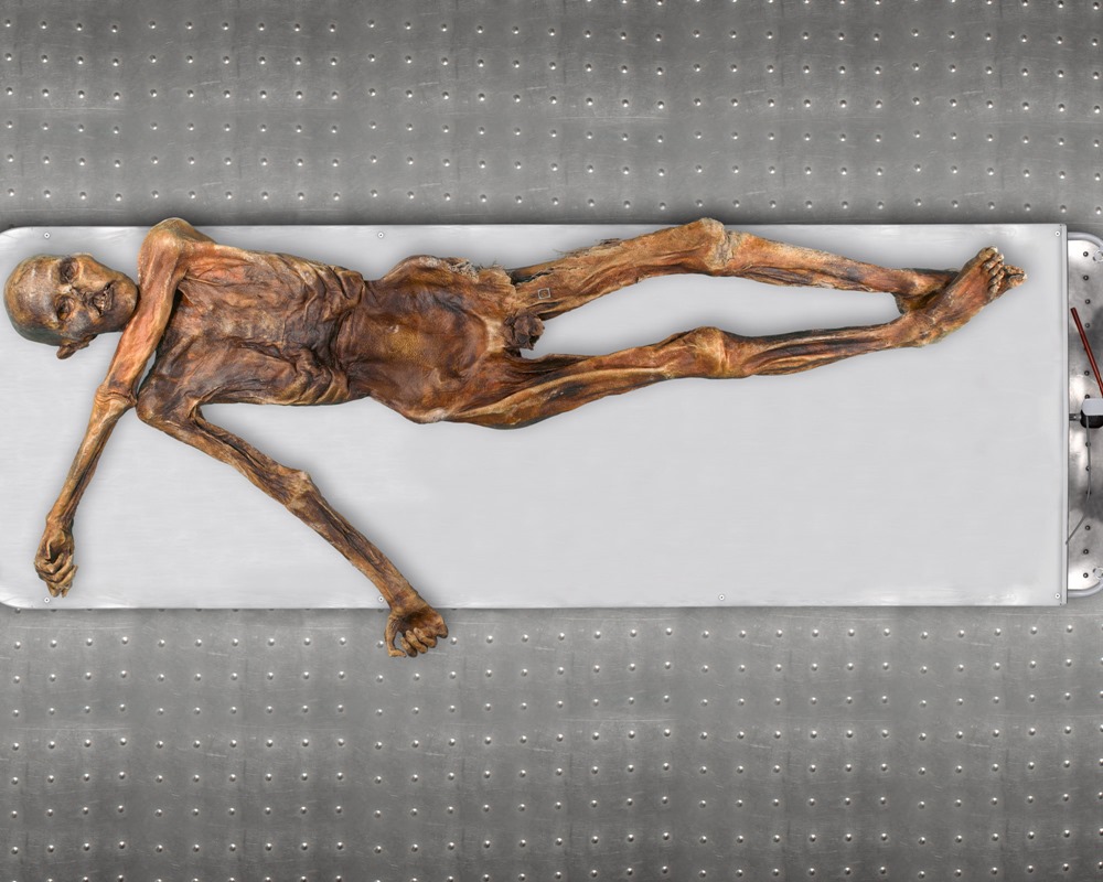 Ötzi apparence Génome 1 23