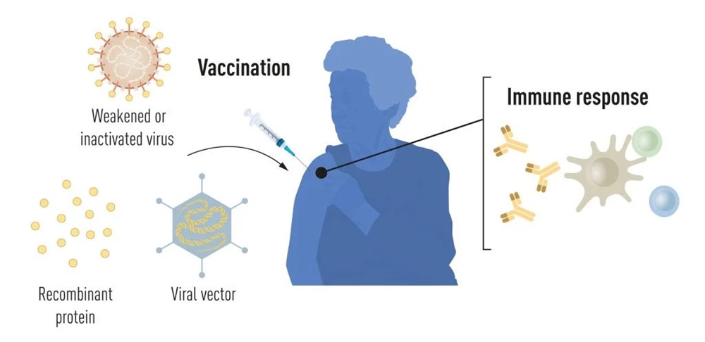 Nobel medecine Vaccin ARNm 1 23