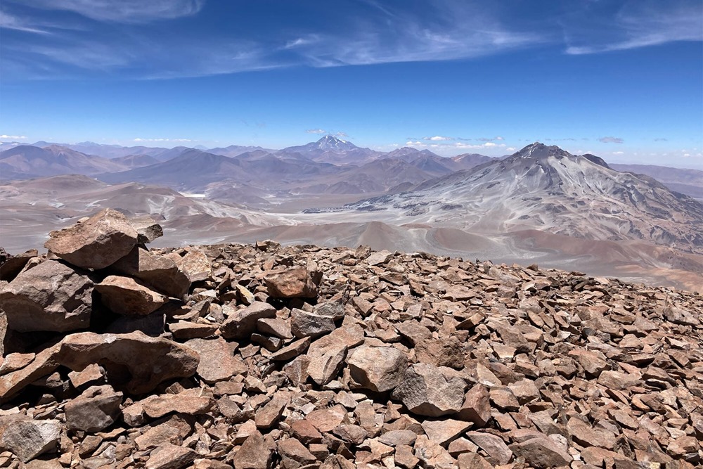 Souris mommifiée Atacama 3 23