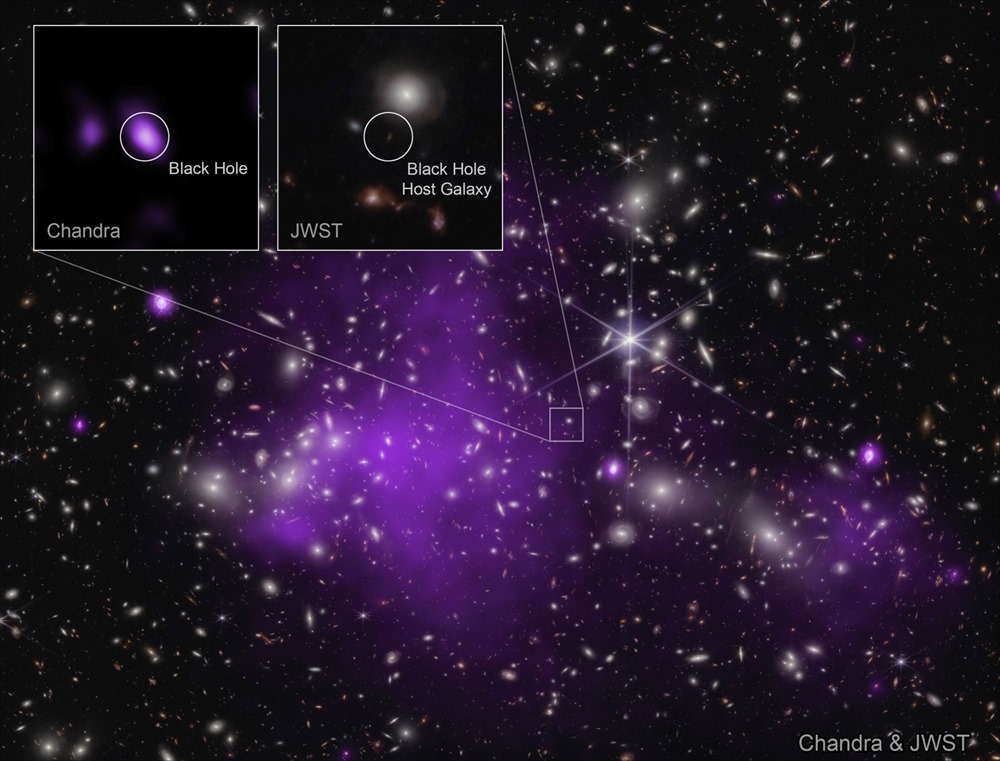 Pandora Cluster (NIRCam Image)