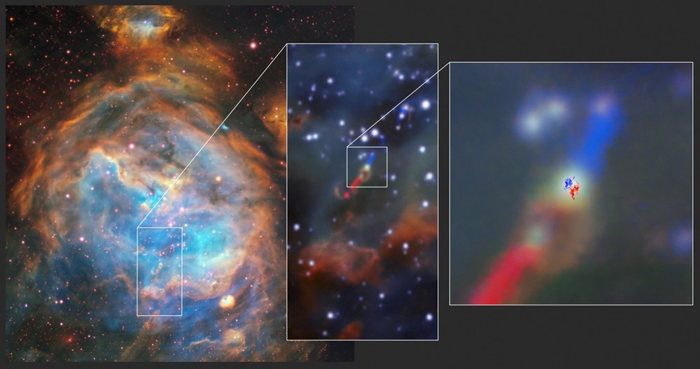 The disc and jet in the HH 1177 young star system as seen with MUSE and ALMA