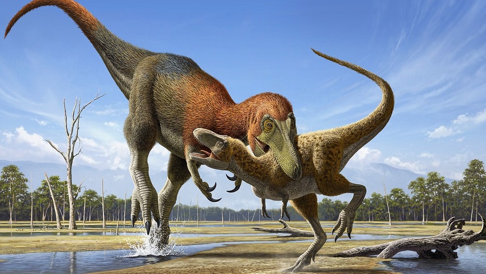 Un dinosaure fossilisé en pleine couvée