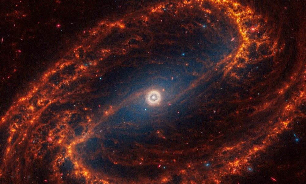 NGC 1300 (Webb Image)