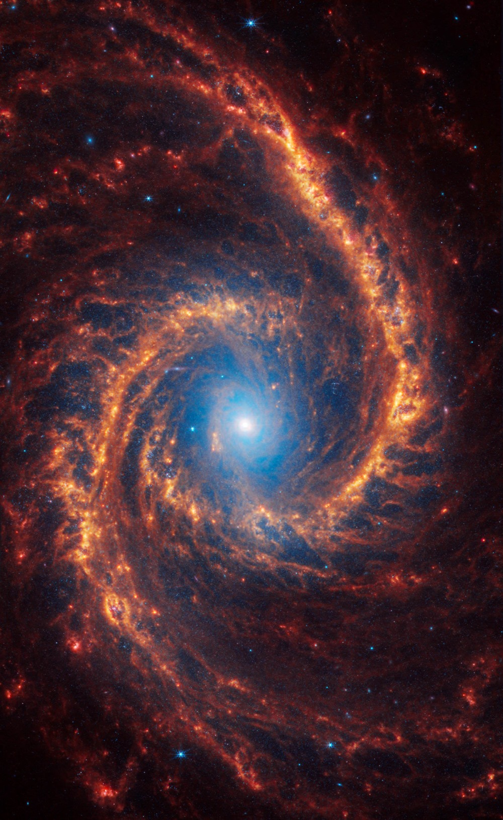 NGC 1566 (Webb Image)