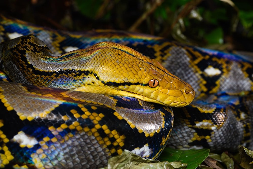 python 1 24